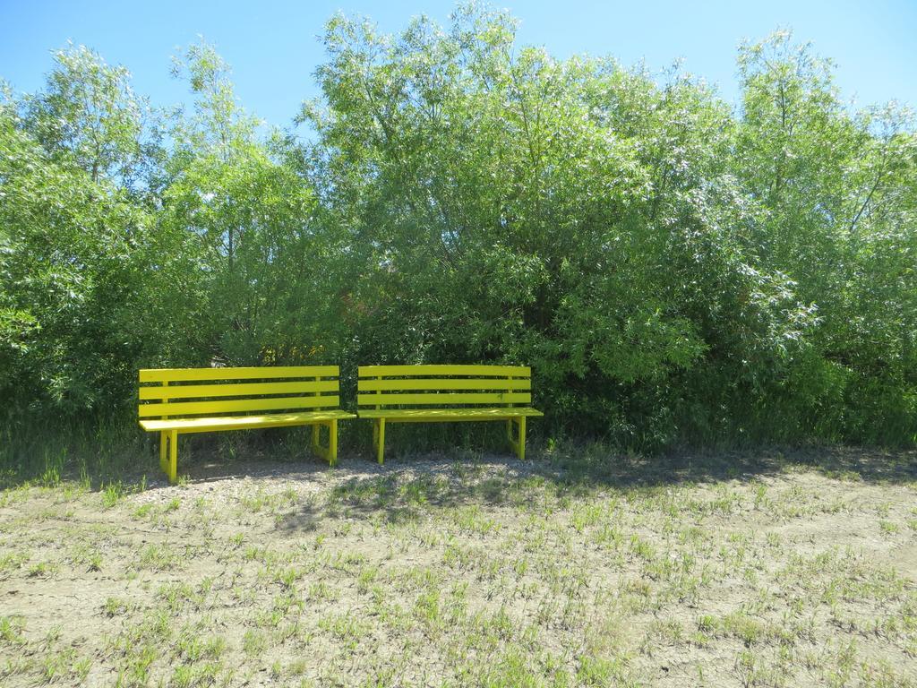 Orchard View Bed And Breakfast Moose Jaw Exteriör bild