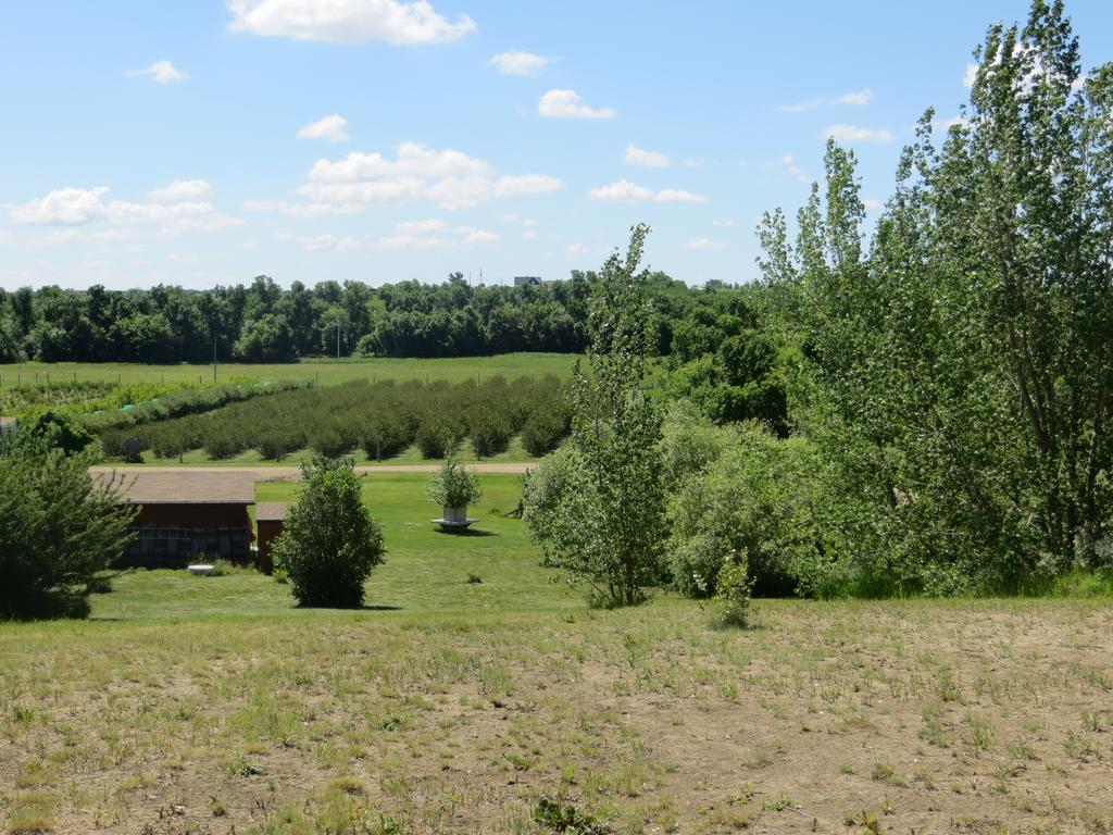 Orchard View Bed And Breakfast Moose Jaw Exteriör bild