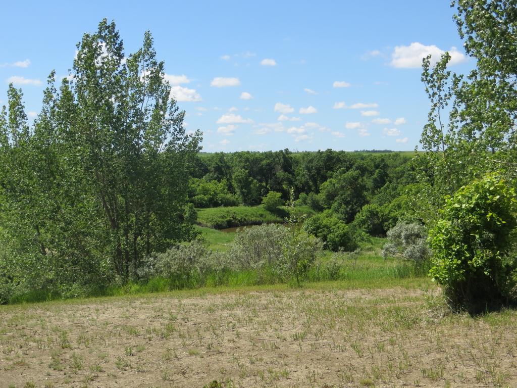 Orchard View Bed And Breakfast Moose Jaw Exteriör bild